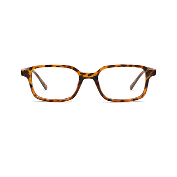 Dubai Tortoise/Transparent