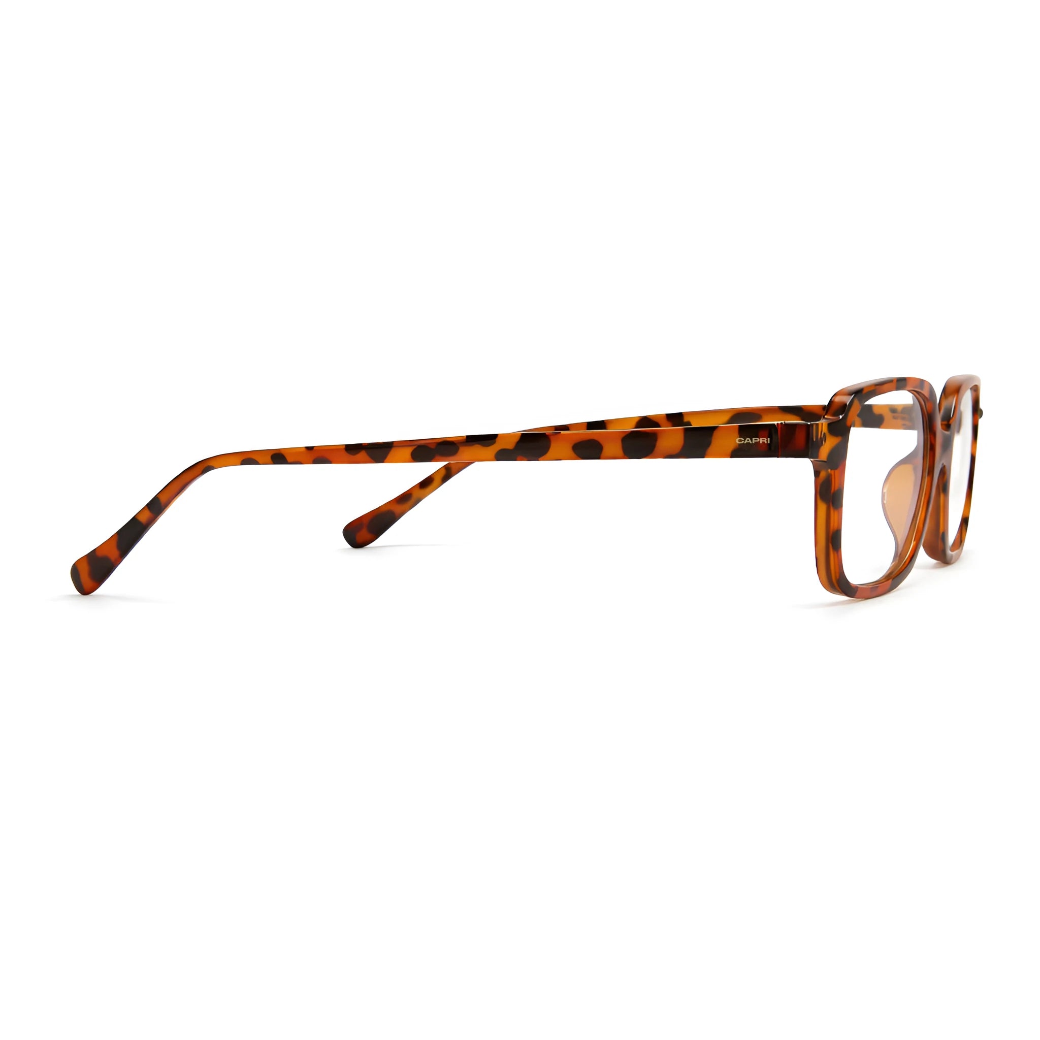 Dubai Tortoise/Transparent