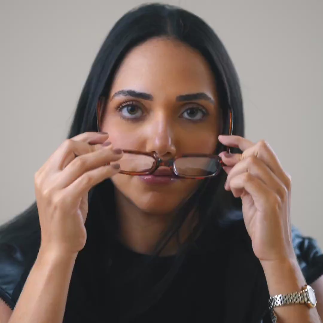 Dubai Tortoise/Transparent