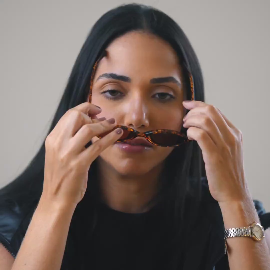 St. Germain Tortoise